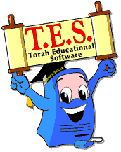 TES computer logo