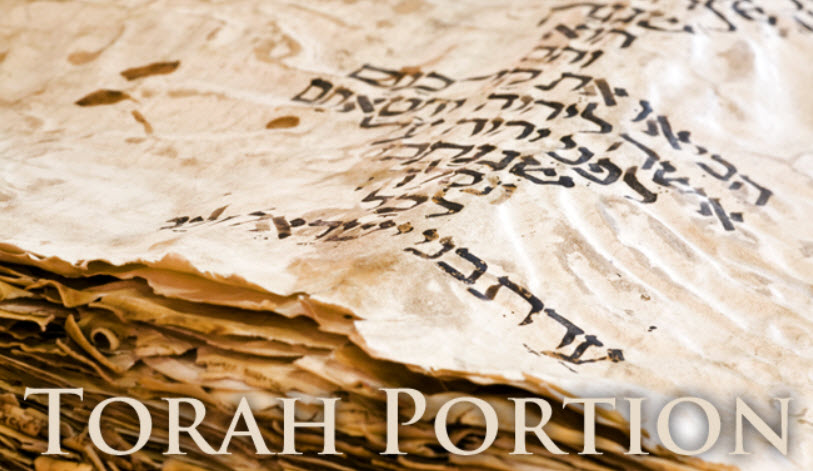 Weekly Torah Portions