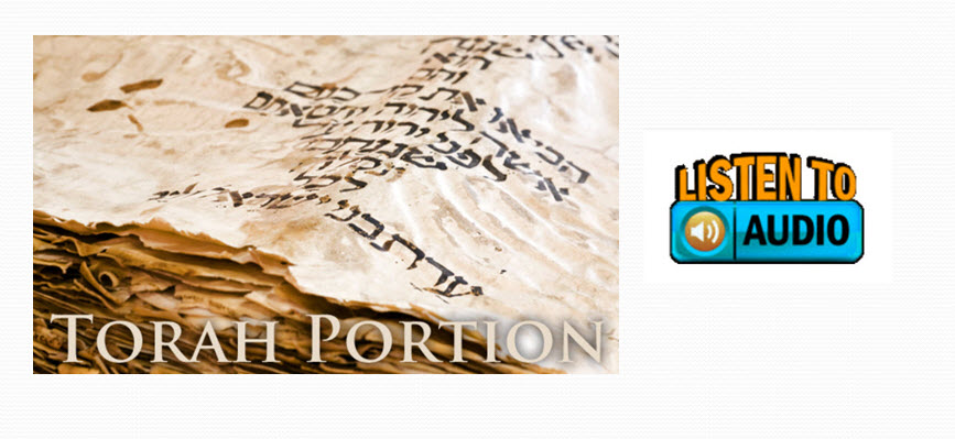 Weekly Torah Portions ~ Listen To Audios